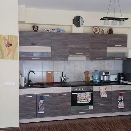 Apartman Near Airport